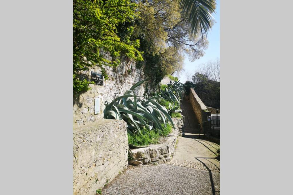 Maison De Village Meublee Avec Terrasse Donzère Dış mekan fotoğraf